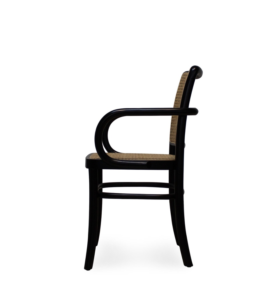Apollo Accent Chair-MT-C383