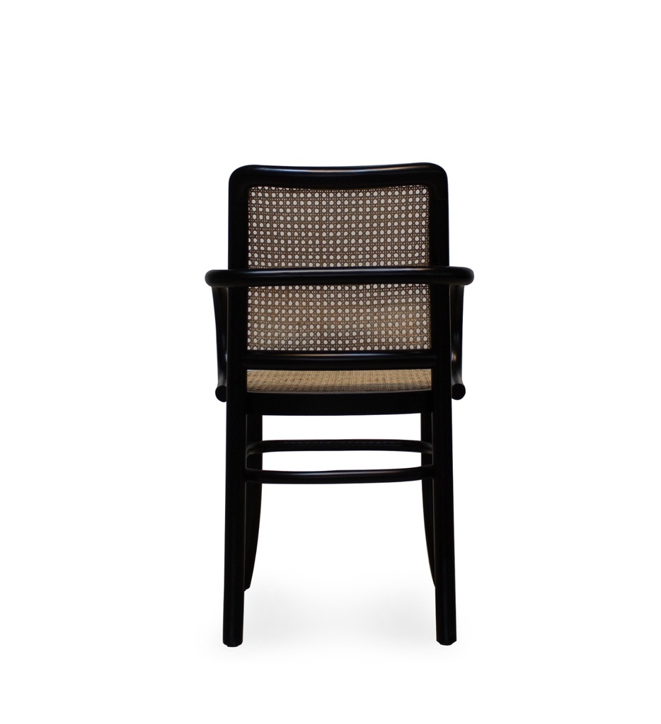 Apollo Accent Chair-MT-C383