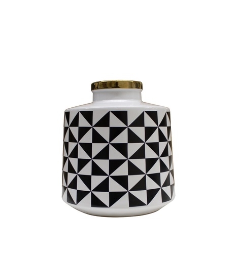 Black & White Vase-C
