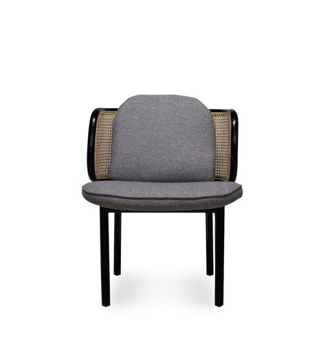 [Davis Accent Chair-[MT-H86]] Davis Accent Chair