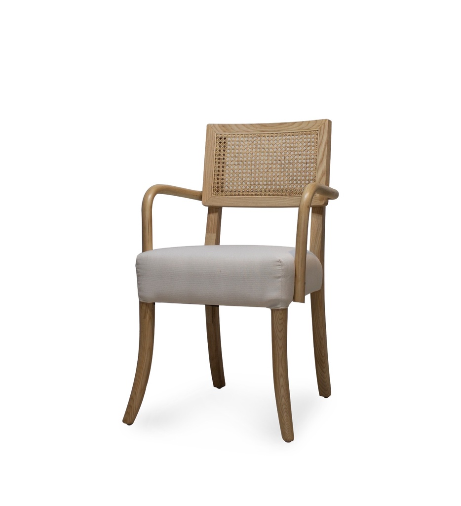 Fred Accent Chair-MT-H84