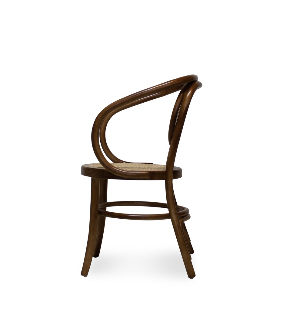 Chrest Accent Chair-MT-C385