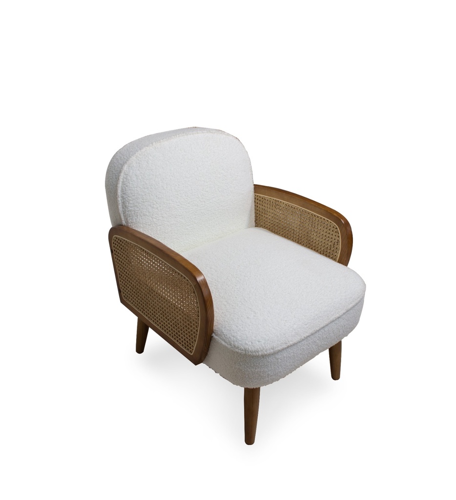 Atlas Accent Chair-MT-S825