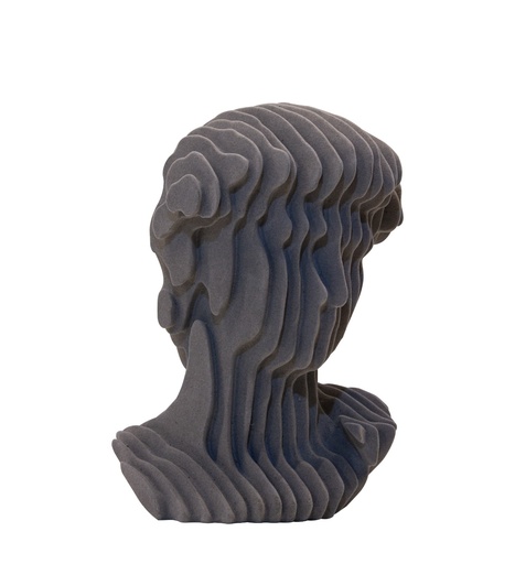 [FCSZ2129A] Sandstone Human HeadGray-A
