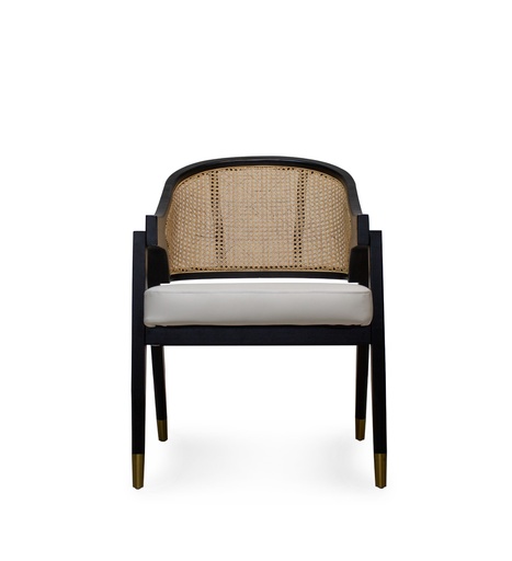 [Lucca Accent Chair-[MT-C261]] Lucca Accent Chair