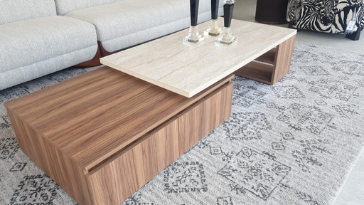 [ART-CT-00005] IVY Coffee Table